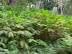 DSCN0212.JPG