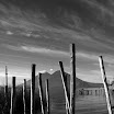 IMG_6310-1.JPG