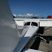 IMG_7007.JPG