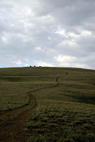 7-20-2008 7-40-28 PM_0078.JPG