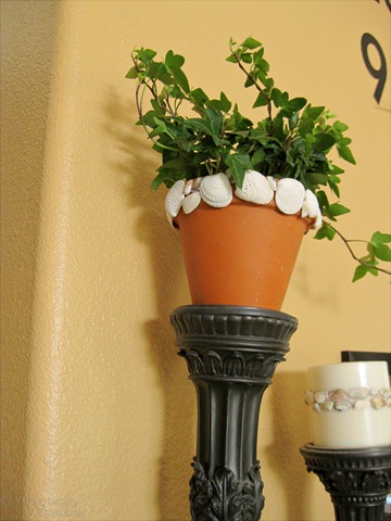 [shell pot 2[4].jpg]