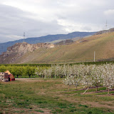 dsc_5348.jpg