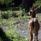 dsc_7582.jpg