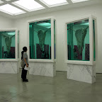 damien hirst