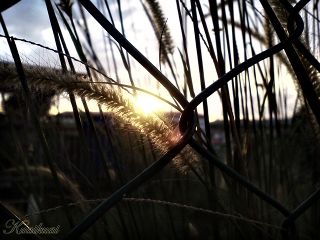 [DSC06044copy5.jpg]