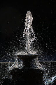 DSC_5876.JPG