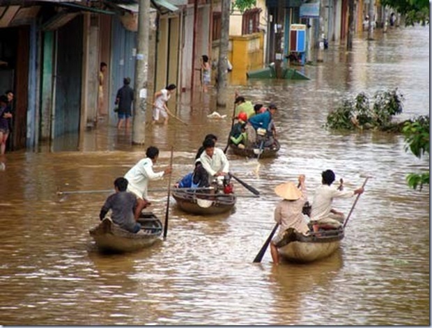 Hue quang lut 5 Hue quang lut 5