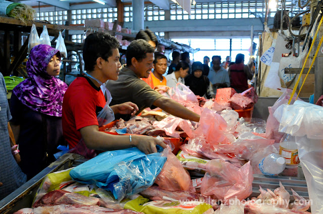 LAN_8833.JPG