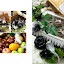 yanie & shah final 003 (Sides 2-3).jpg