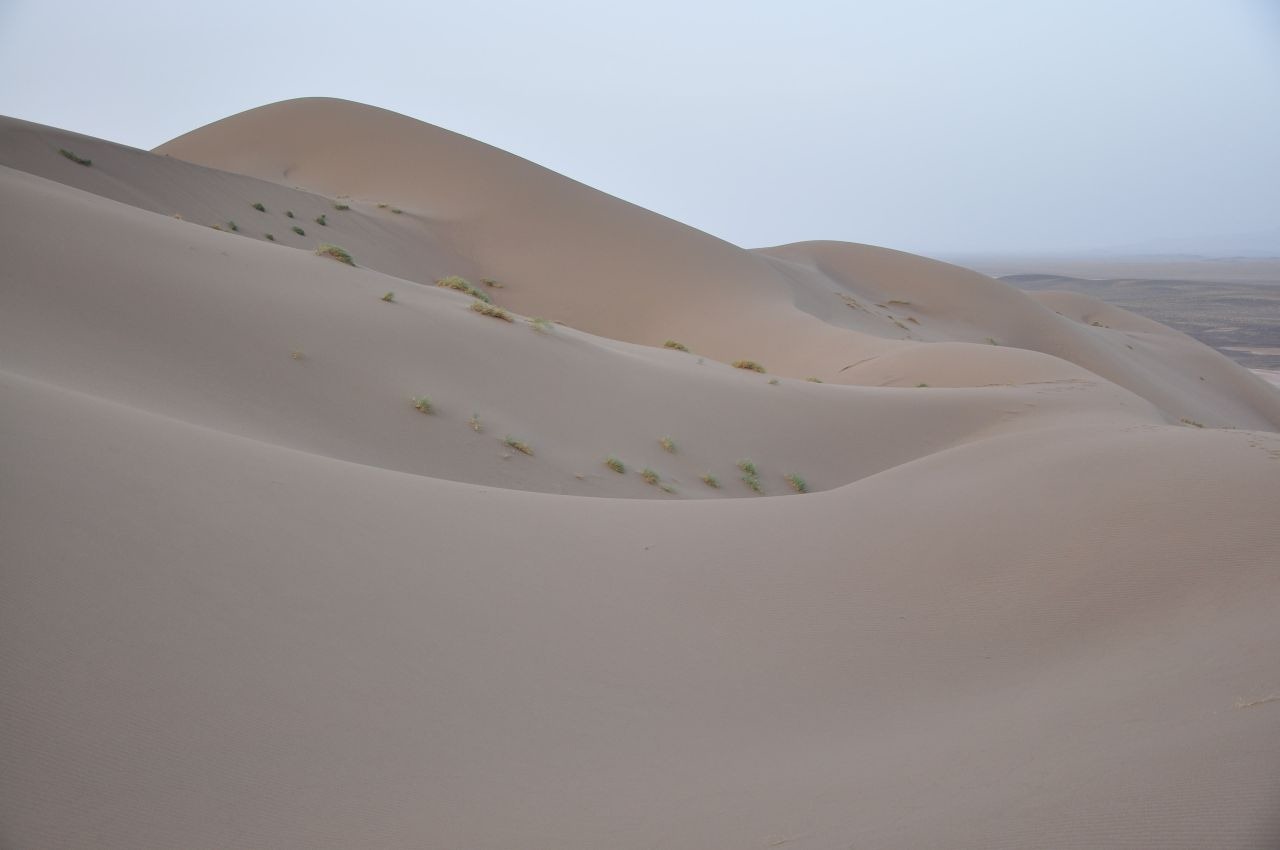 [DSC_50143.jpg]