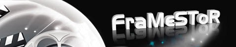 [FramestorLogo4.jpg]