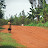 Rwandese child on dirt road Rwandese child on dirt road