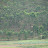 Agricultural rural Rwanda Agricultural rural Rwanda