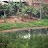 Shamba in Kigale Shamba in Kigale