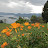 Lake and volcano area, Rwanda Lake and volcano area, Rwanda
