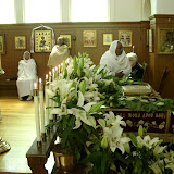 SN851718.JPG