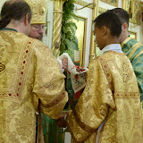 SN852514.JPG