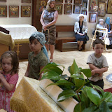 SN852775.JPG