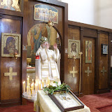 SN852784.JPG
