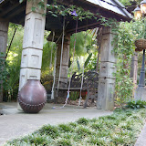 SN853297.JPG