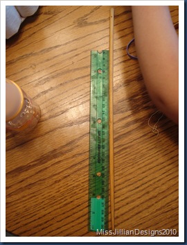Dowel we used, next to broken ruler Dowel we used, next to broken ruler