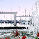 marina-bizerte.jpg