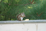 IMG_0001.JPG