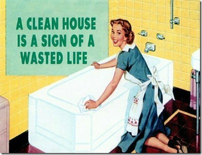 a_clean_house_is_a_sign_of_a_wasted_life_1180184600