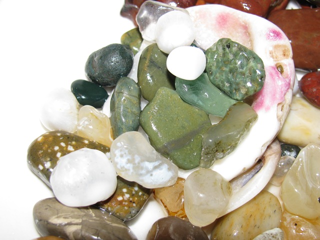 [beachcousin0102.jpg]