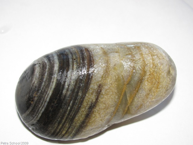 [RocksDAlexander02213.jpg]