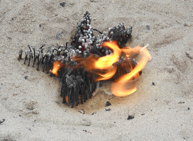 [CapeKawandaPacificCityBonFireEvenigS[2].jpg]