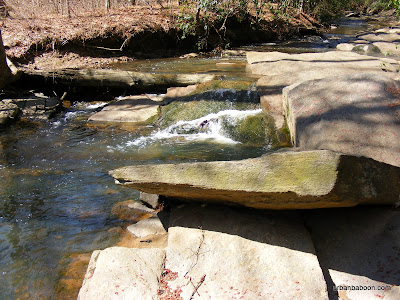 Possible Autrey Mill Ruins