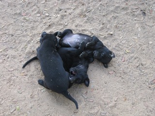 [IMG_28404.jpg]