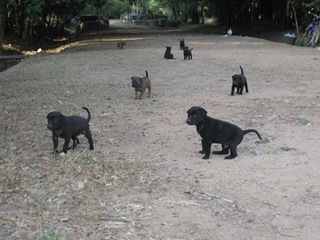 [IMG_28394.jpg]