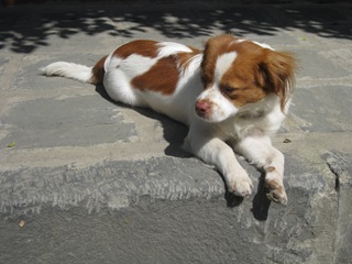 [IMG_34034.jpg]