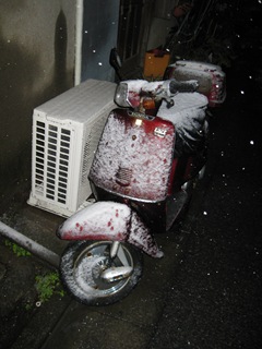 [IMG_45514.jpg]