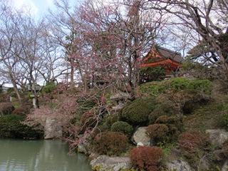 [P31125204.jpg]