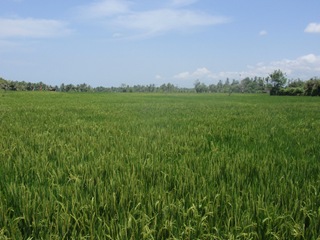 [PA080693[4].jpg]