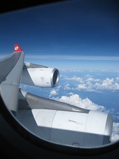 [IMG_66404.jpg]