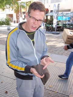 [P61000184.jpg]
