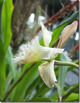 rbg 045