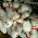 2007-12-23-06h31m51.jpg