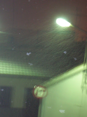 07/01/10: nevando esta noche. Foto: Pozoblanco News, las noticias y la actualidad de Pozoblanco * www.pozoblanconews.blogspot.com