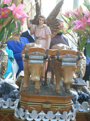 Los bueyes de San Isidro Labrador de Pozoblanco . Foto: Pozoblanco News, las noticias y la actualidad de Pozoblanco * www.pozoblanconews.blogspot.com