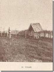 clip_image017 clip_image017