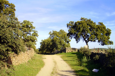 Transandalus