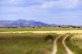 El Viso