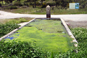 parque natural de cardeña montoro
