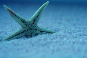[In_the_oceans_of_blue_by_SHJ_Soul[43].jpg]