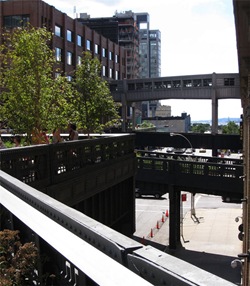 parque nueva york 2